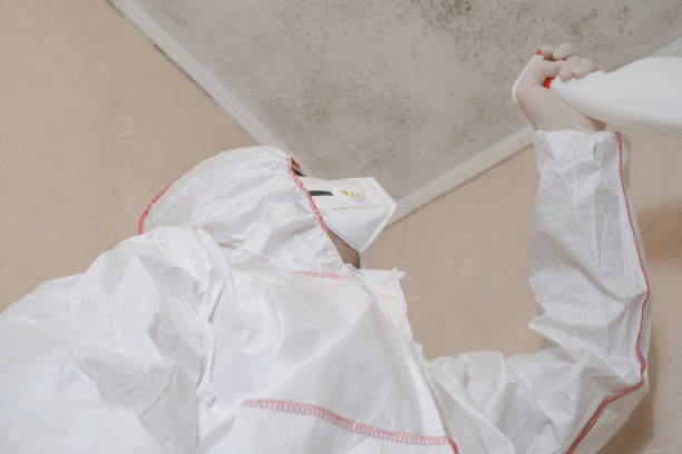 Best Crawl Space Mold Remediation in Shaker Heights, OH